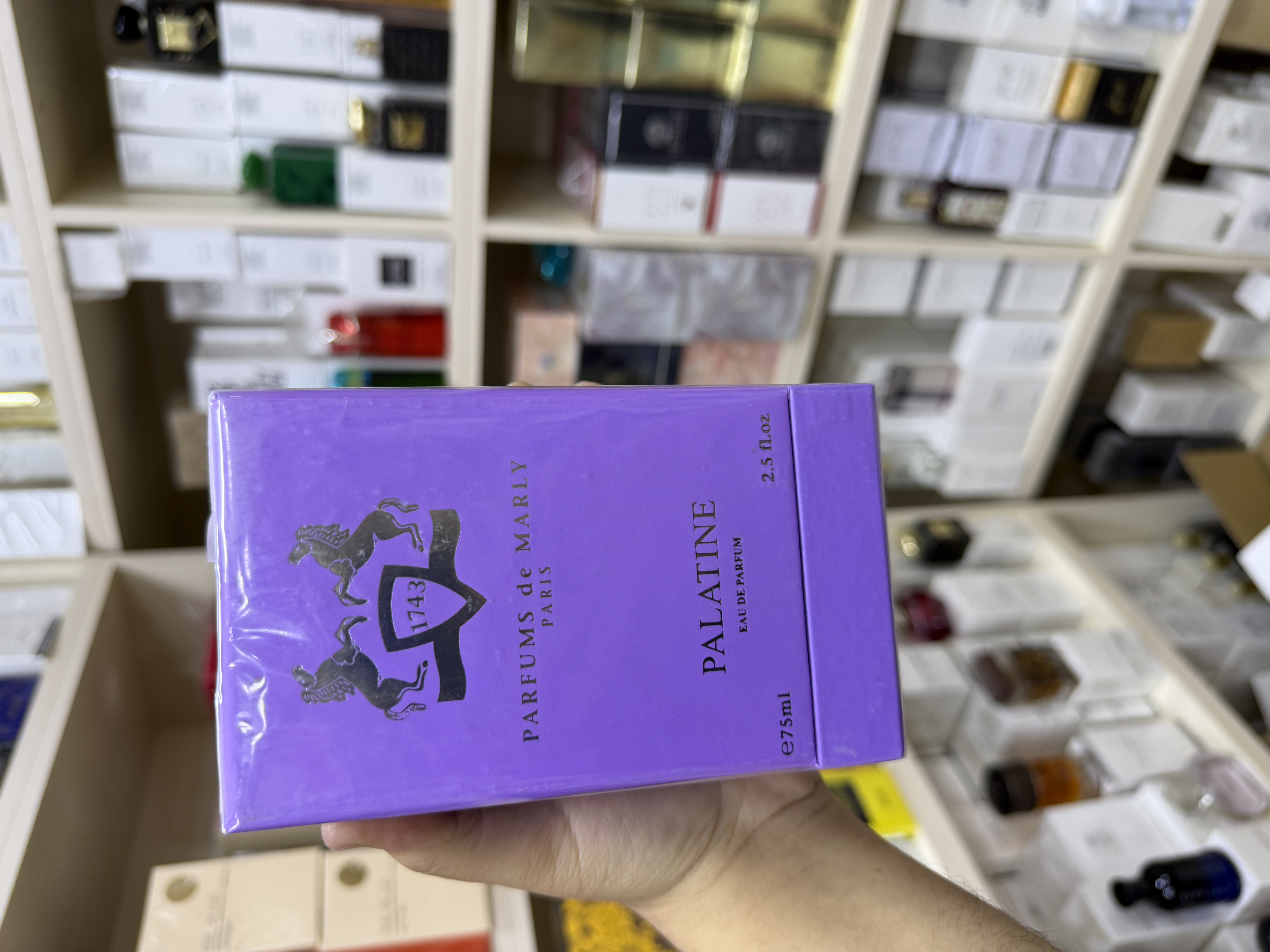 DE MARLY PALATINE